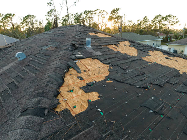 Best Chimney Flashing Repair  in Trafalgar, IN